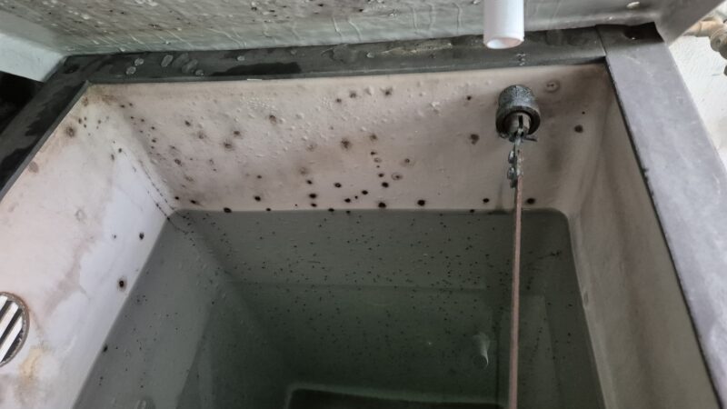 Surface Coat Failure CWST