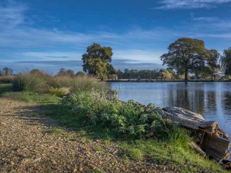 Model,Boat,Pond,Bushy,Park,In,Surrey,Uk